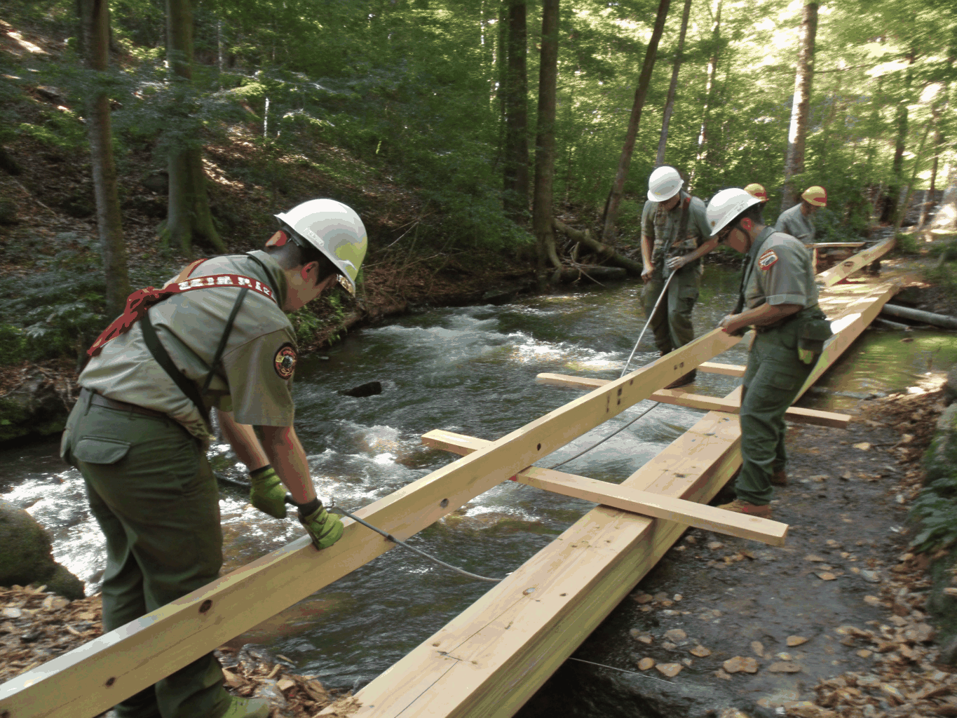 Scouts working together with tools constructing a wooden boardwalk on a nature trail